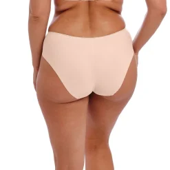 Illusion Brief