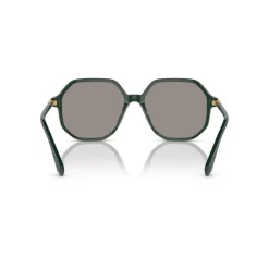 Irregular Sunglasses SK6003