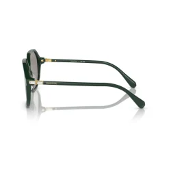 Irregular Sunglasses SK6003