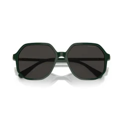 Irregular Sunglasses SK6003