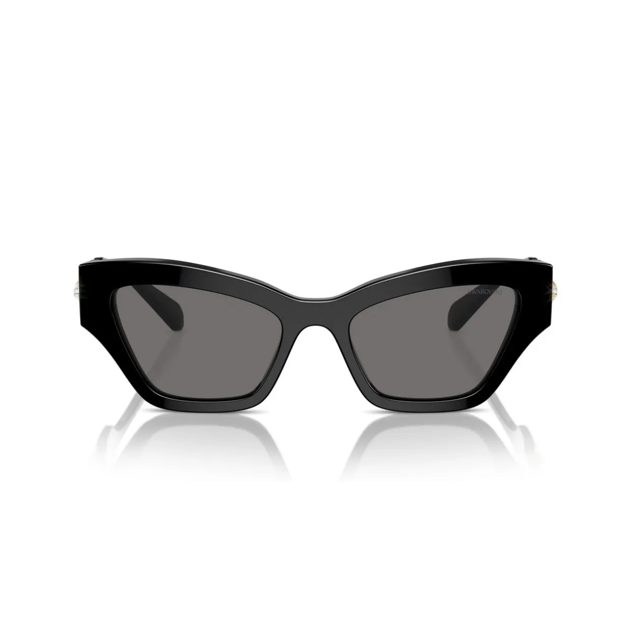 Irregular Sunglasses SK6021
