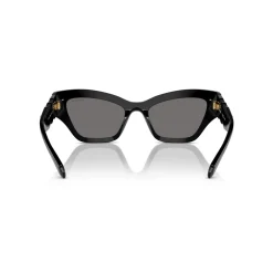 Irregular Sunglasses SK6021