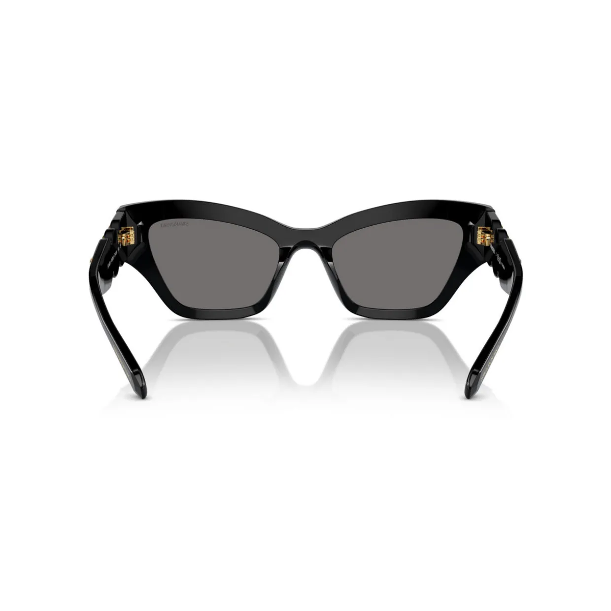 Irregular Sunglasses SK6021
