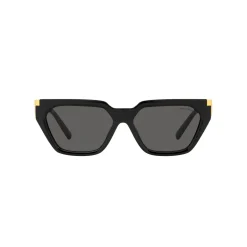 Irregular Sunglasses TF4205U