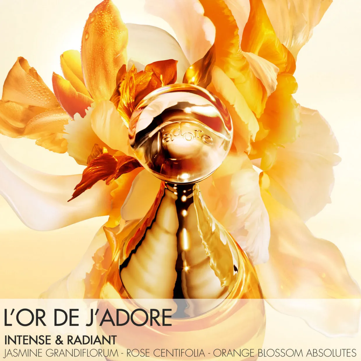 J'adore L'Or