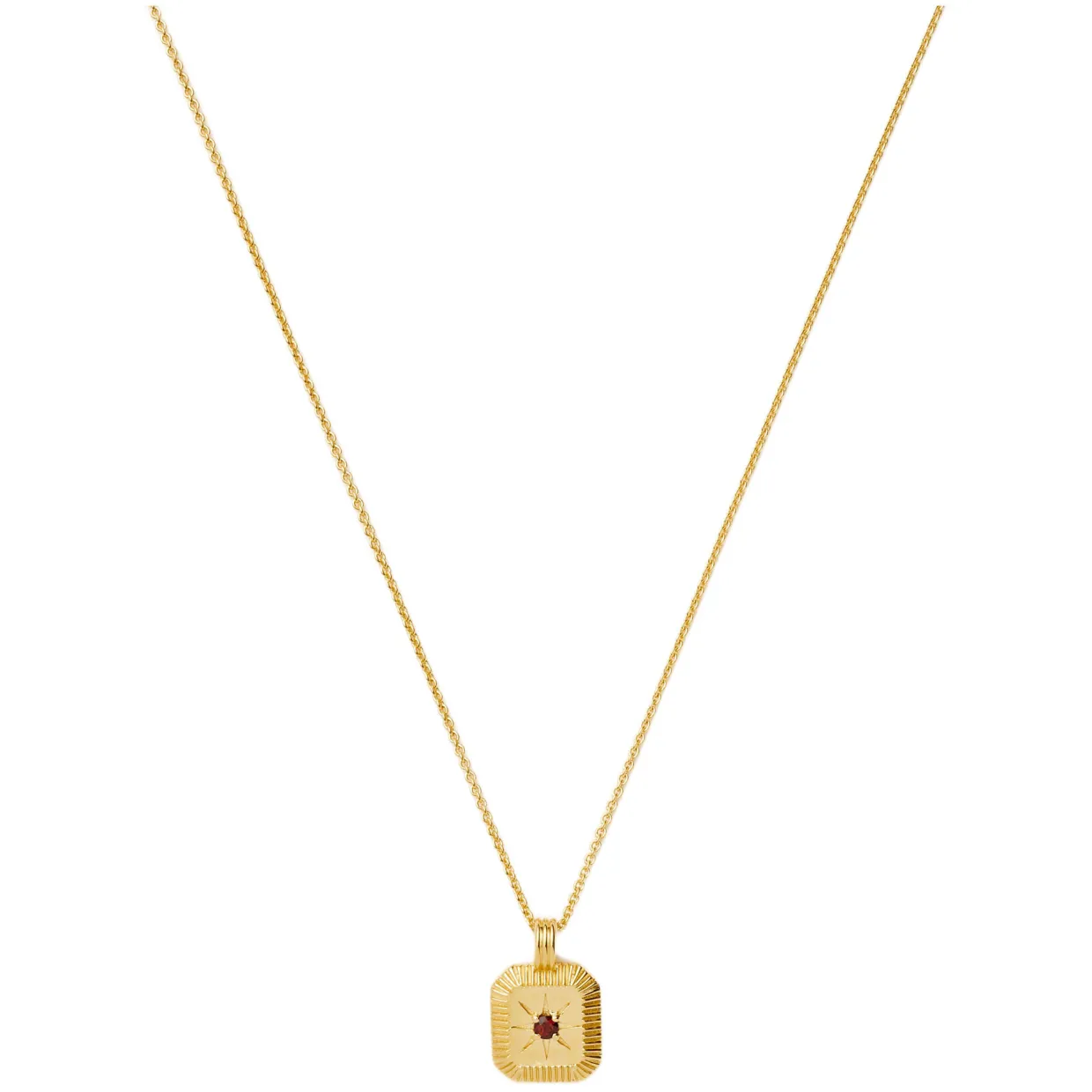 January Birthstone Necklace
