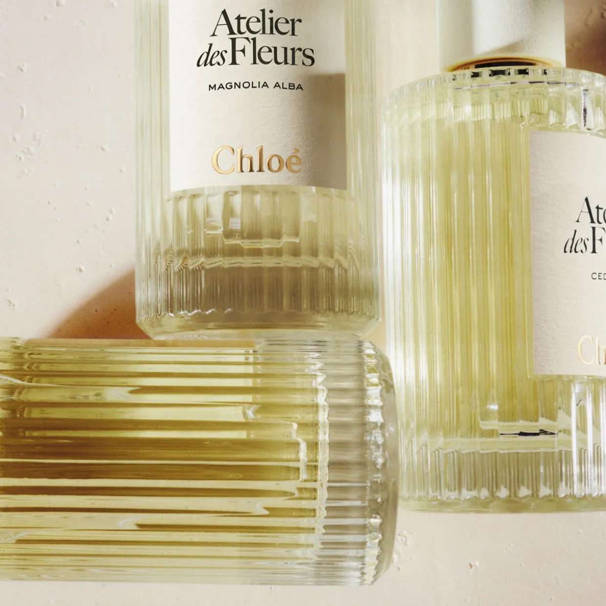 Jasminum Sambac EDP
