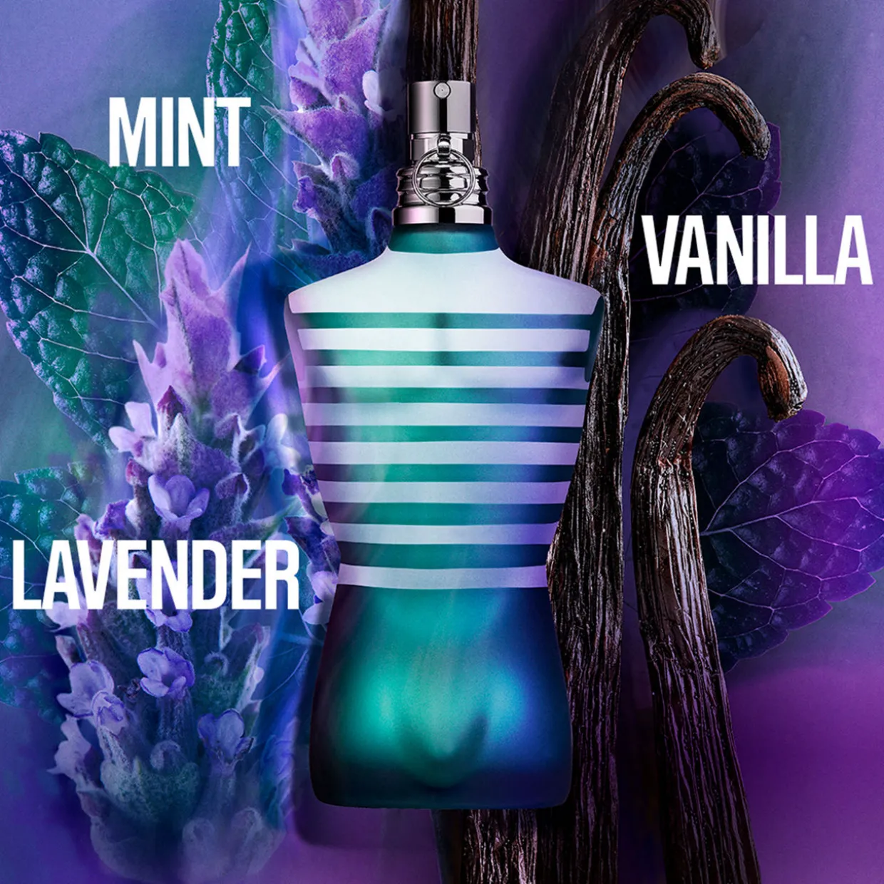 Le Male EDT