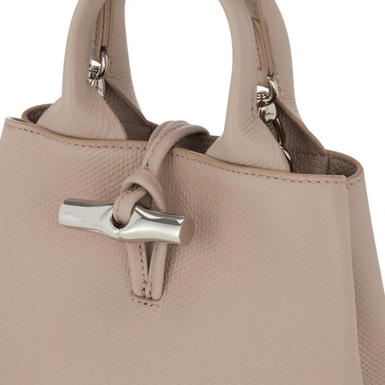 Le Roseau Small Leather Crossbody Bag