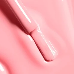 Le Vernis