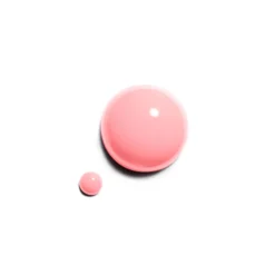 Le Vernis