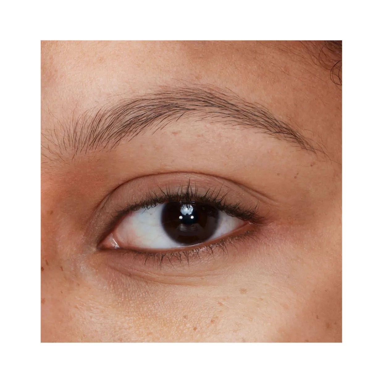 Legendary Brows