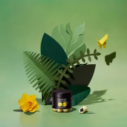 Lemon Chocolate Coated Liquorice 125g