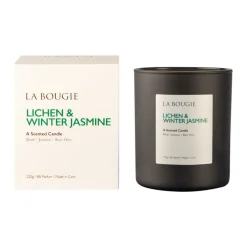 Lichen & Winter Candle