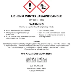Lichen & Winter Candle