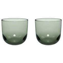 Like Sage Water Glass Two-Piece Set