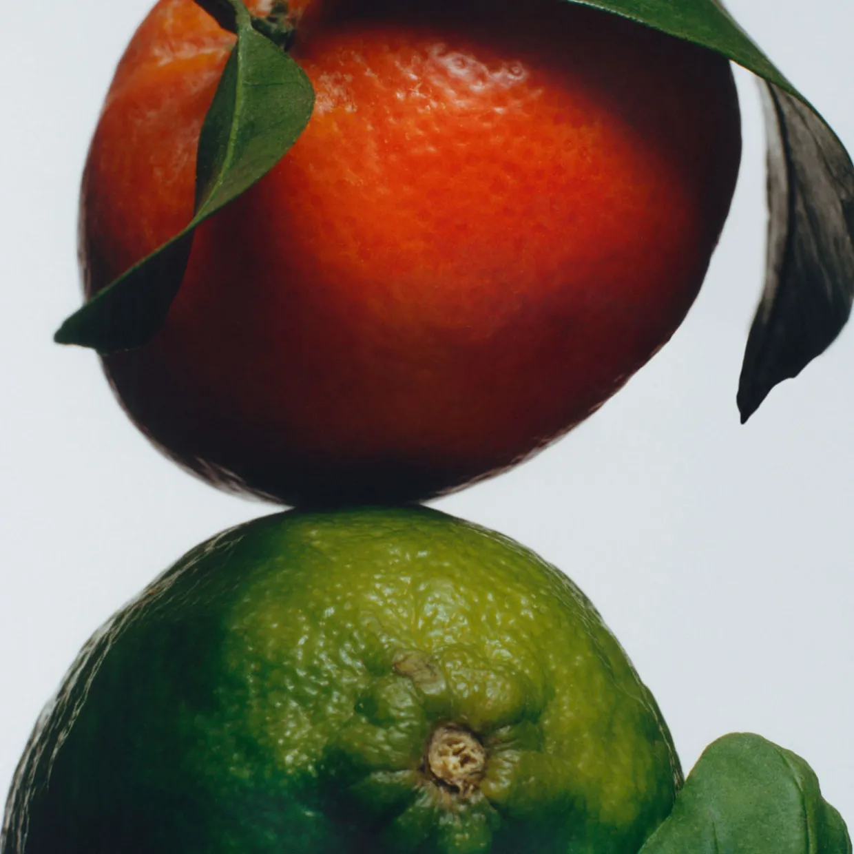 Lime Basil & Mandarin Body & Hand Lotion