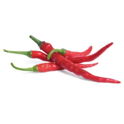 Lingot Cayenne Hot Chilli Seeds