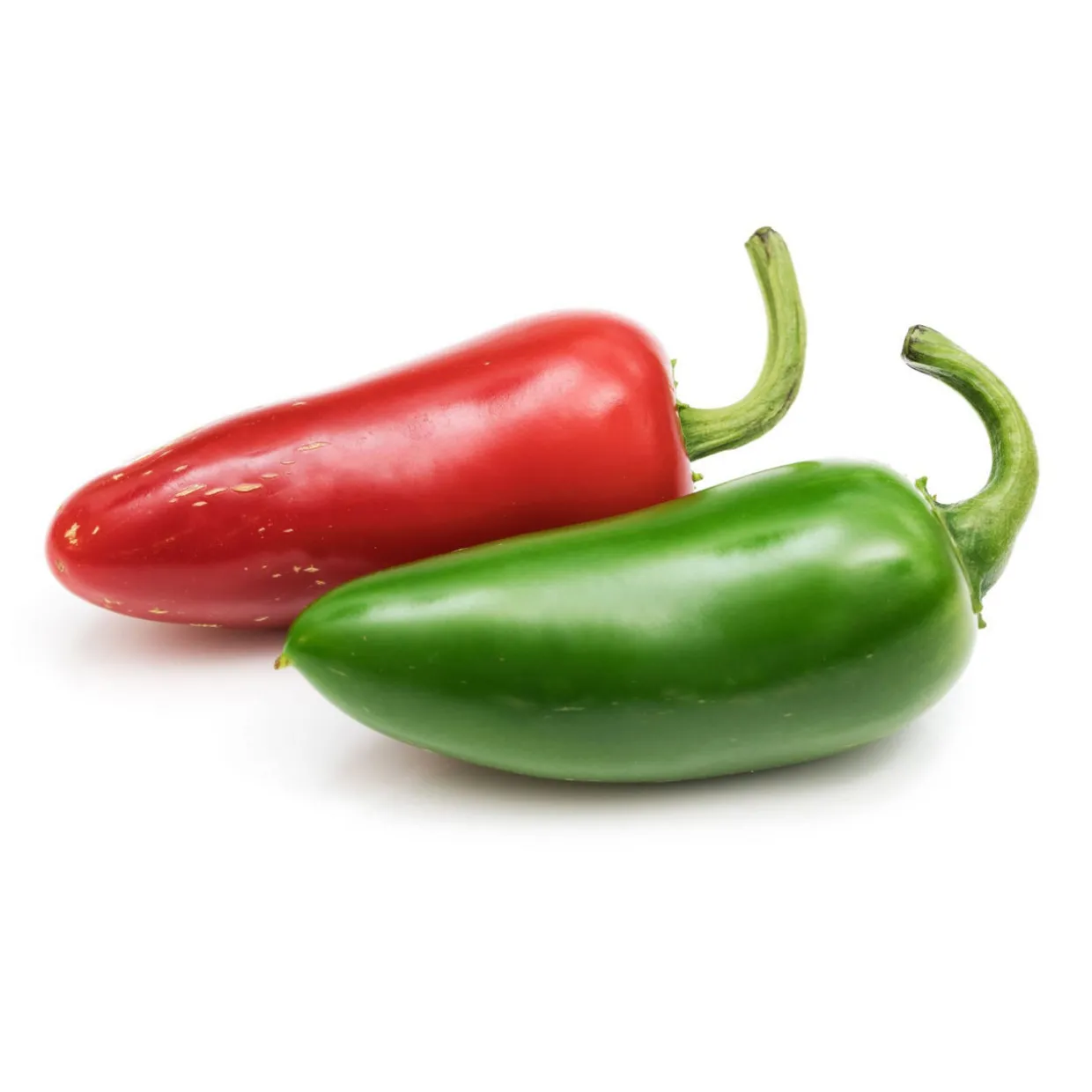 Lingot Jalapeno Hot Chilli Seeds