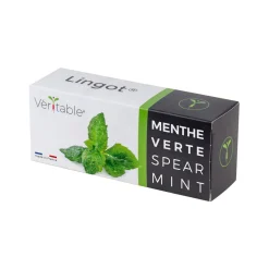 Lingot Mint Seeds