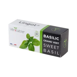 Lingot Sweet Basil Organic Seeds