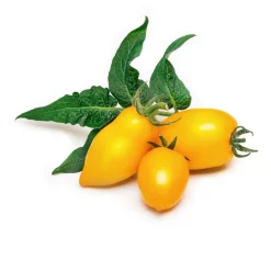 Lingot Yellow Mini-Tomato Seeds