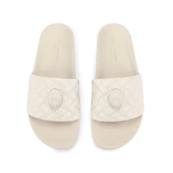 Meena Eagle Slides