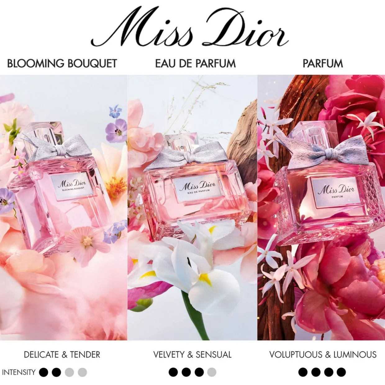 Miss Dior Eau de Parfum