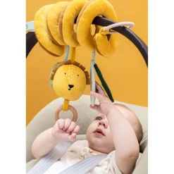 Mr. Lion Activity Spiral