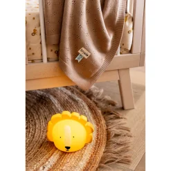 Mr. Lion Night Light