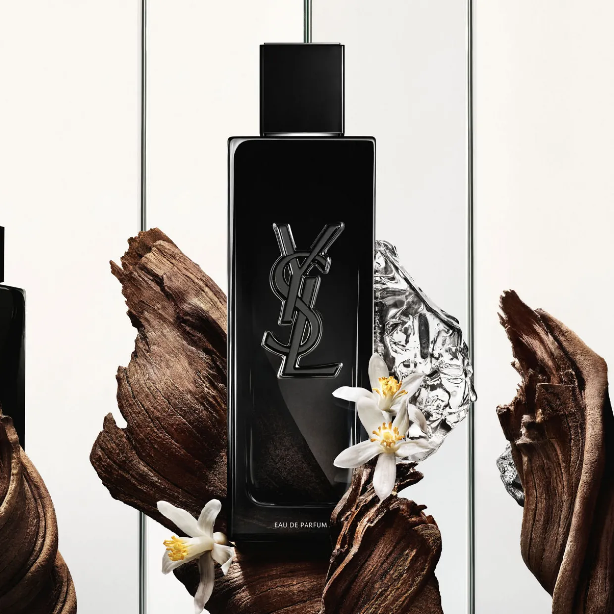 MYSLF EDP