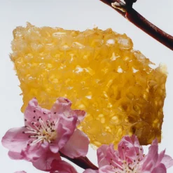 Nectarine Blossom & Honey Cologne