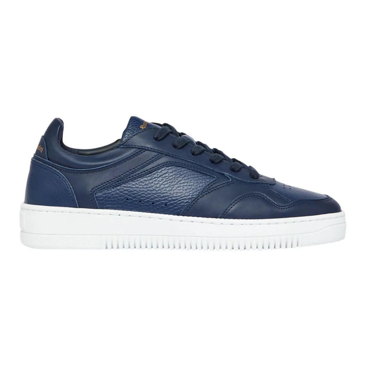 Newton Leather Trainers