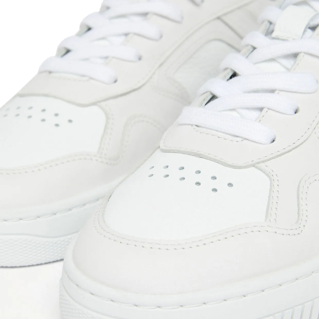 Newton Leather Trainers