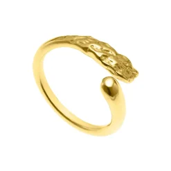 Open Seas Ring
