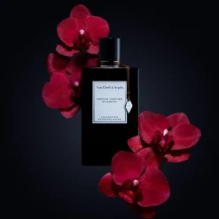 Orchid Leather EDP