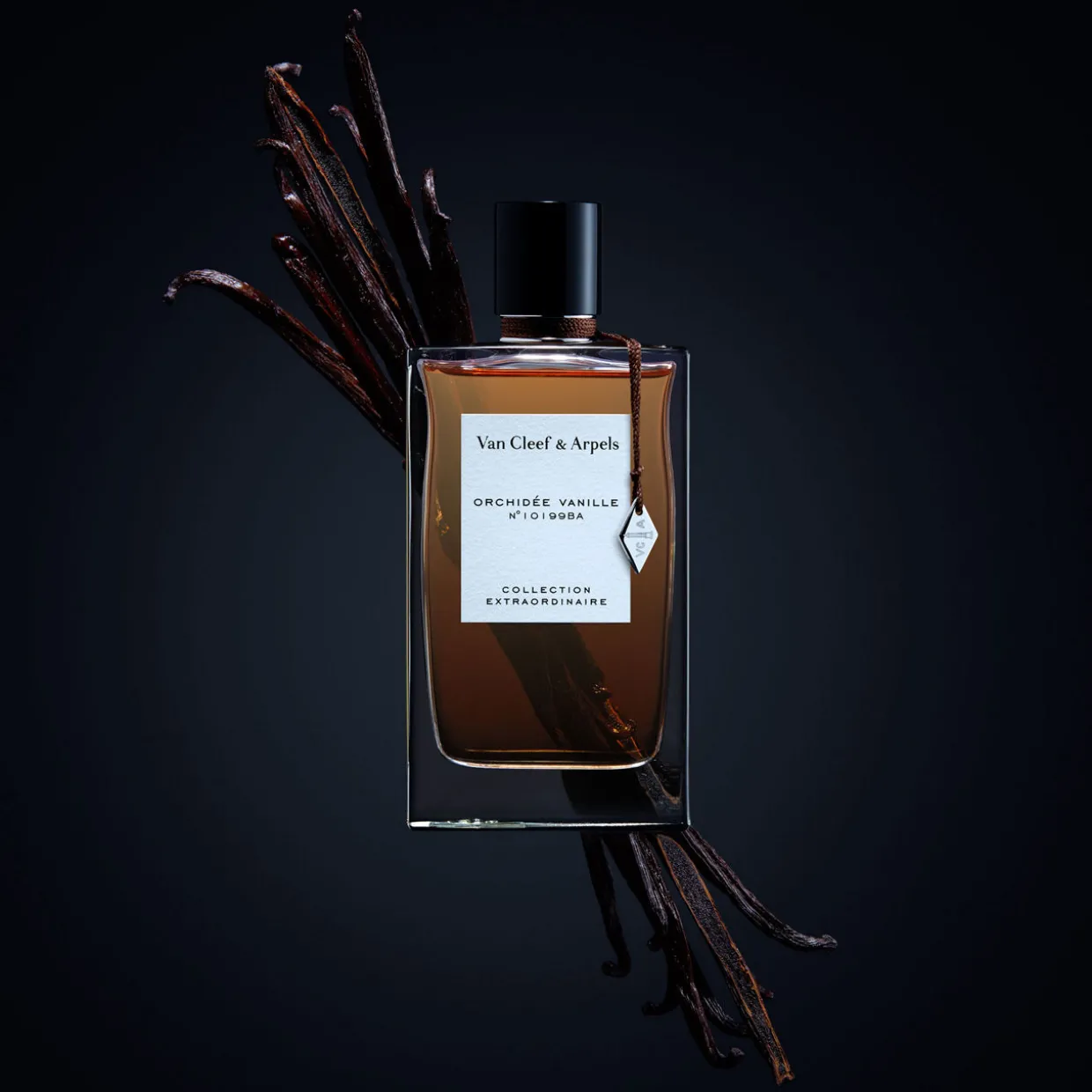 Orchidée Vanille EDP