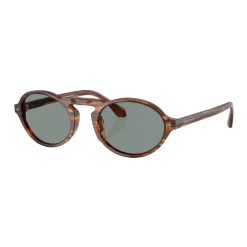 Oval Sunglasses AR8219U