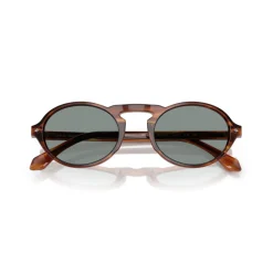 Oval Sunglasses AR8219U