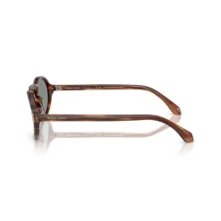 Oval Sunglasses AR8219U