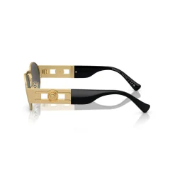 Oval Sunglasses VE2264