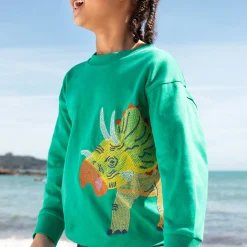 Owen Embroidered Sweatshirt