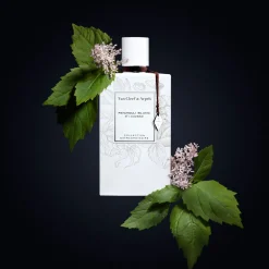 Patchouli Blanc EDP