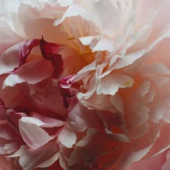 Peony & Blush Suede Room Spray
