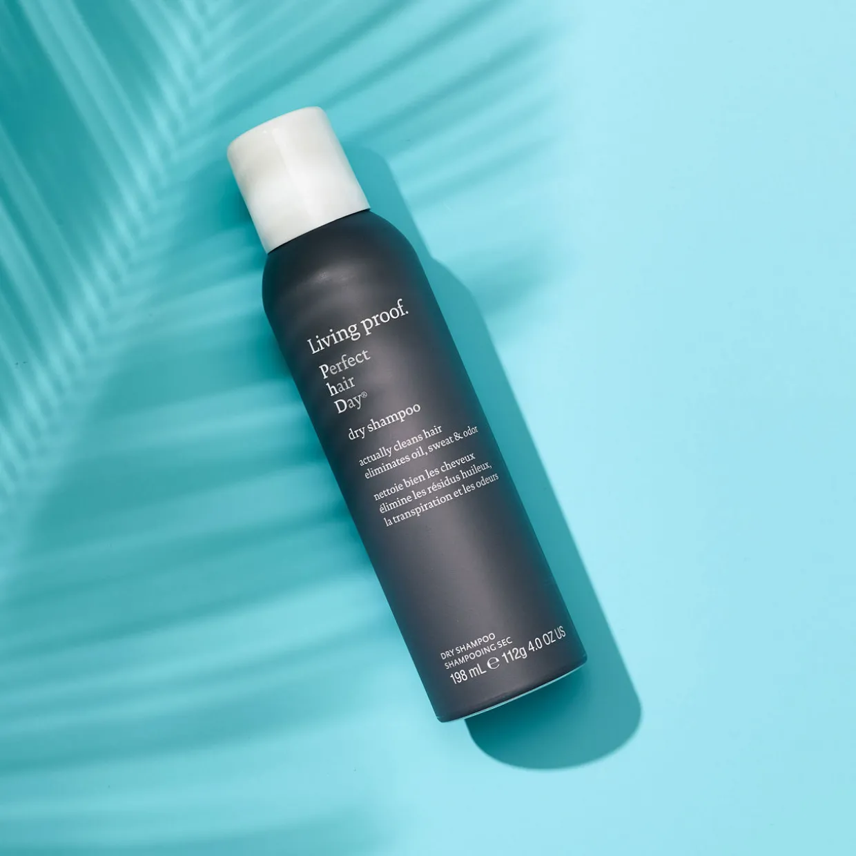 Perfect Hair Day Dry Shampoo