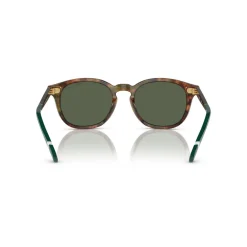 Phantos Sunglasses PH4206