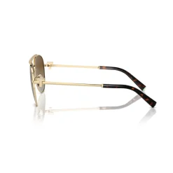 Pilot Sunglasses TF3101B