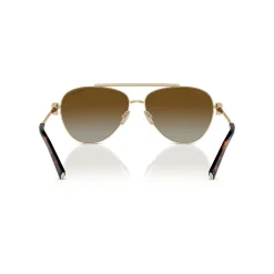 Pilot Sunglasses TF3101B
