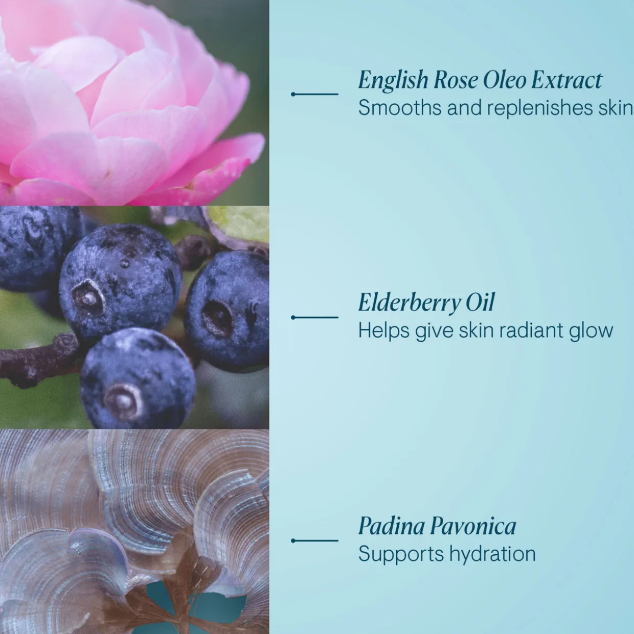 Pro-Collagen Rose Cleansing Balm - Mini