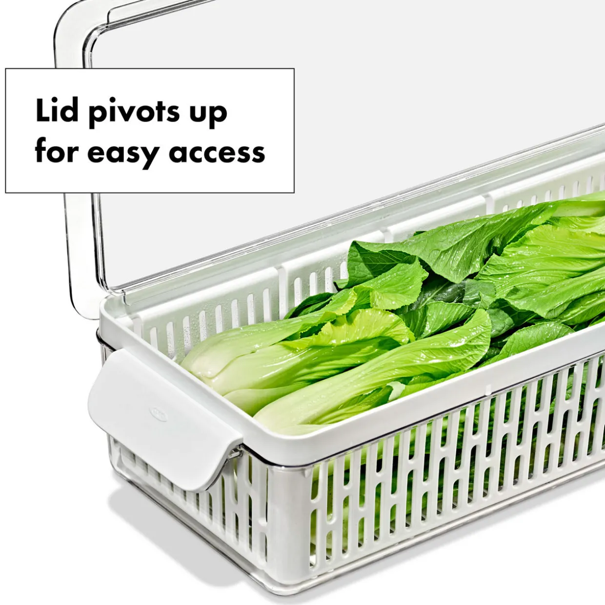 Produce Saver: Long Storage Bin